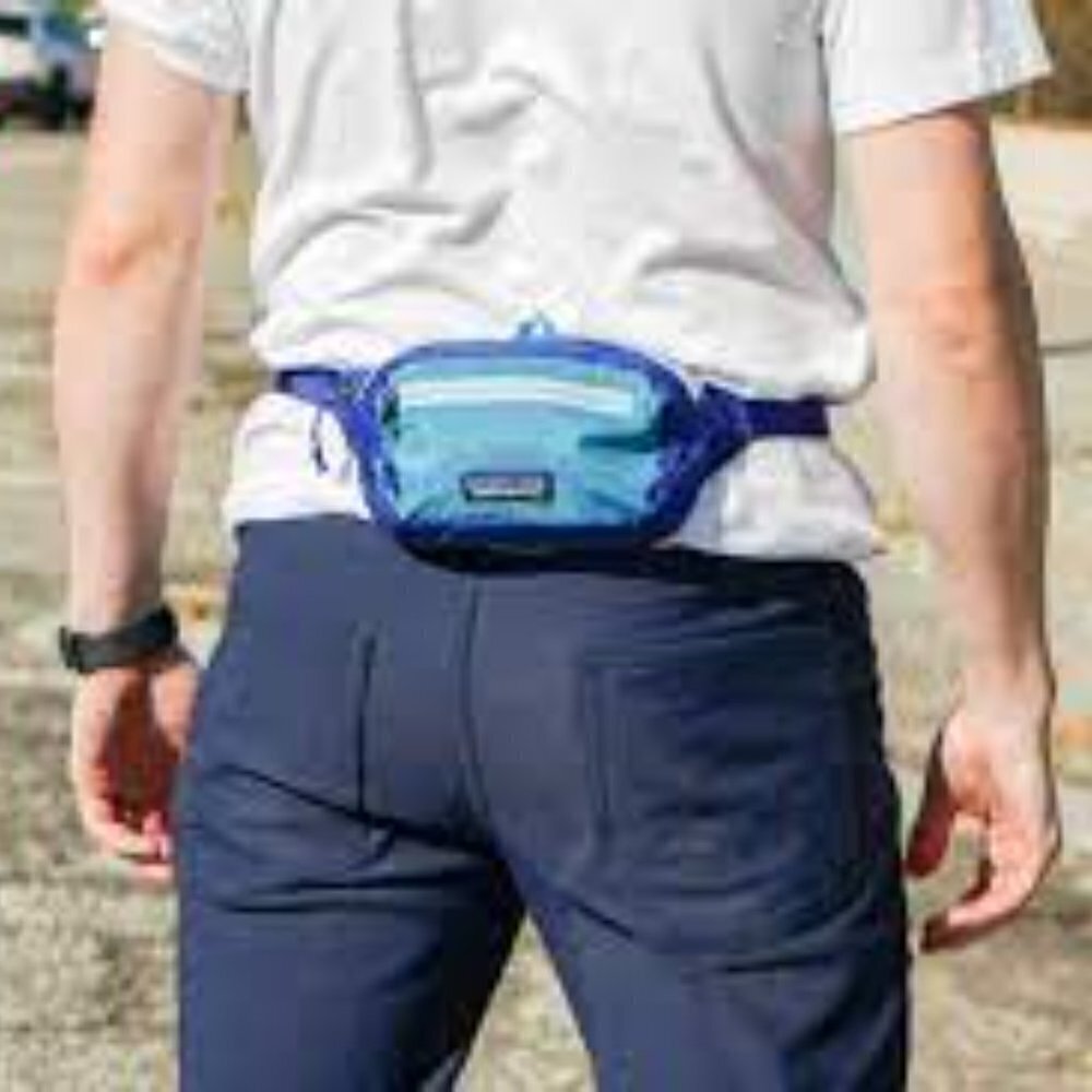 Patagonia Travel Hip Bag
